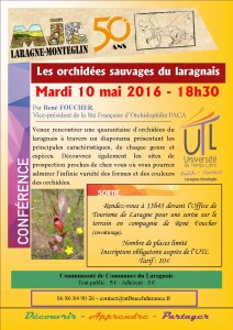 2016-05-10 Les orchidées sauvages du laragnais